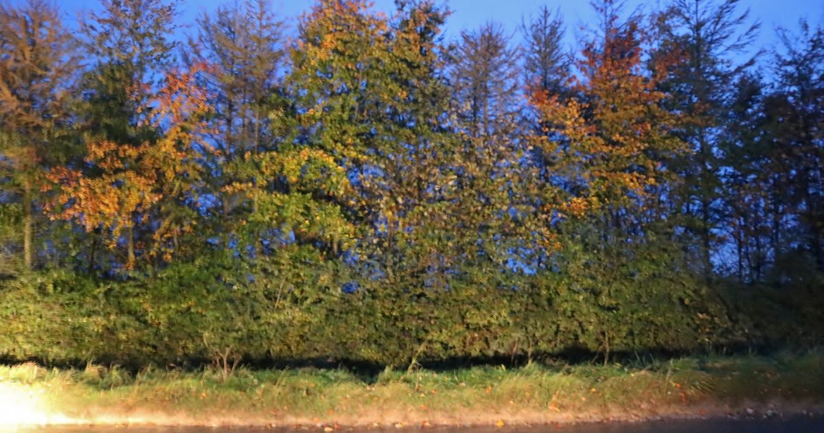 Indian Summer in the UK: What It Is and When It Happens