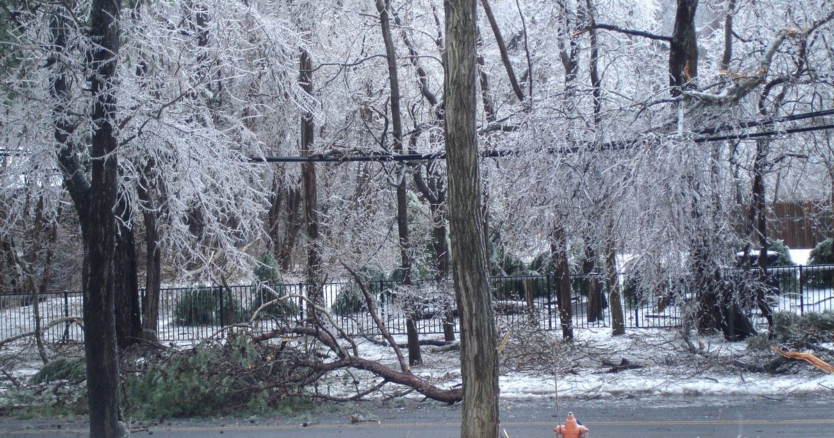 Sleet vs snow vs freezing rain vs hail: what is the difference?